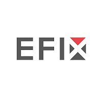 Расширенная техническая поддержка EFIX на 12 месяцев
